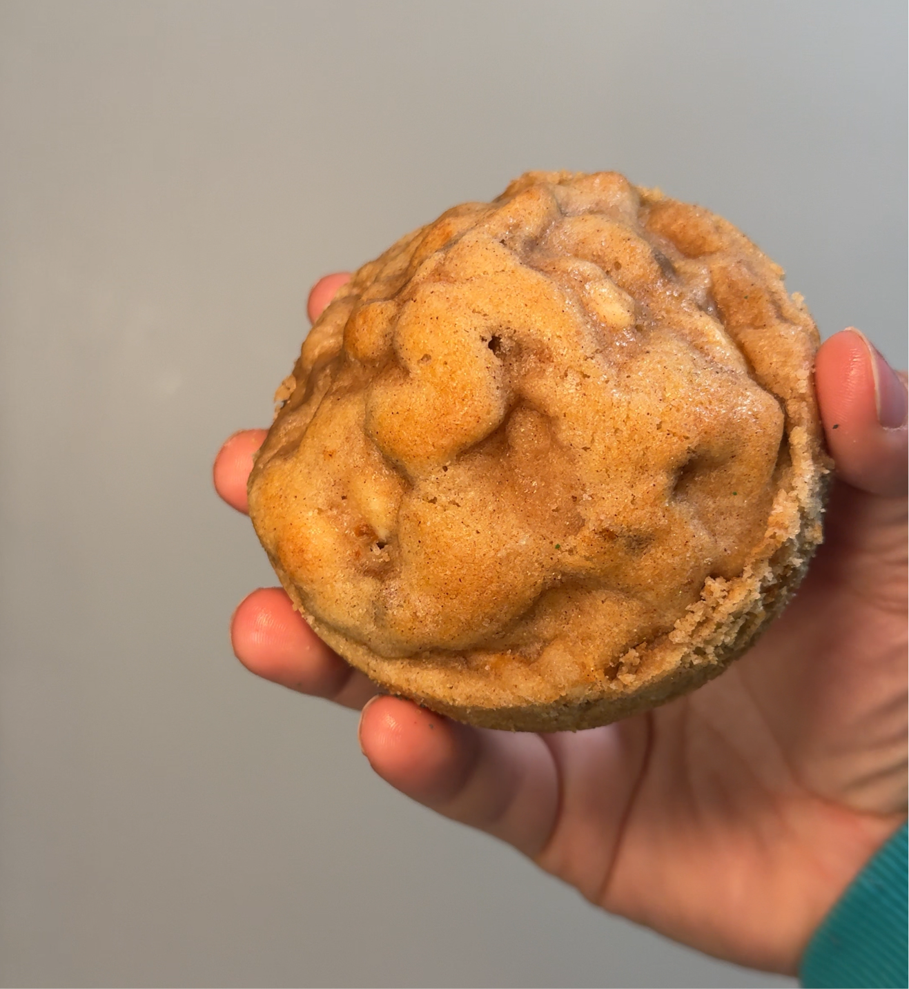 Cinnamon/Snickerdoodle