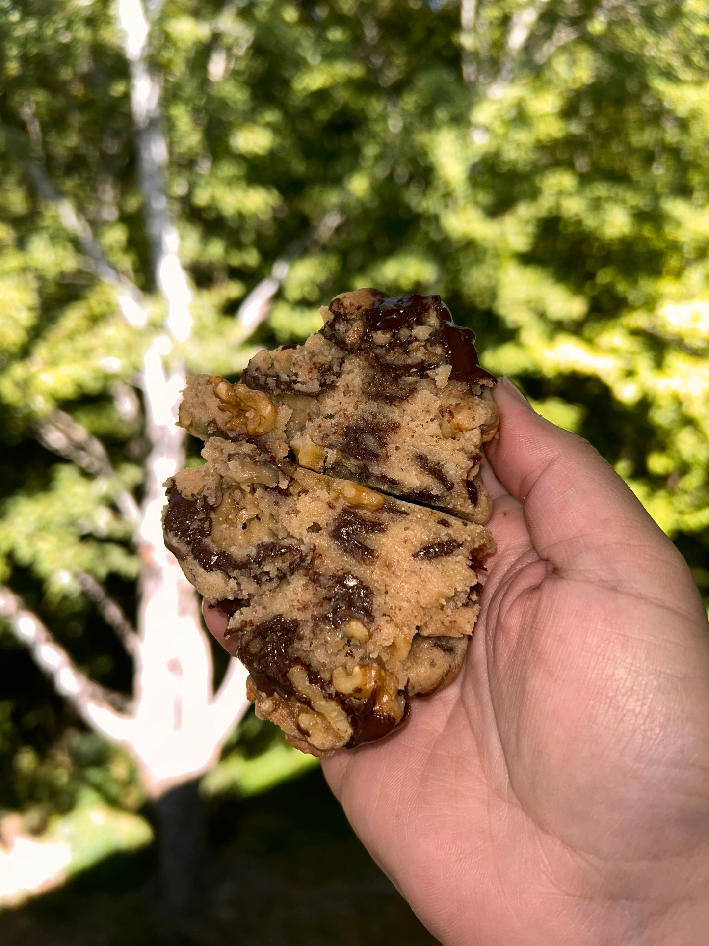 Vegan Choco walnut